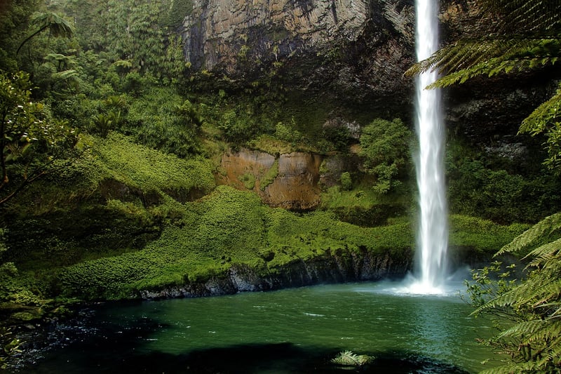 Exotic Discoveries